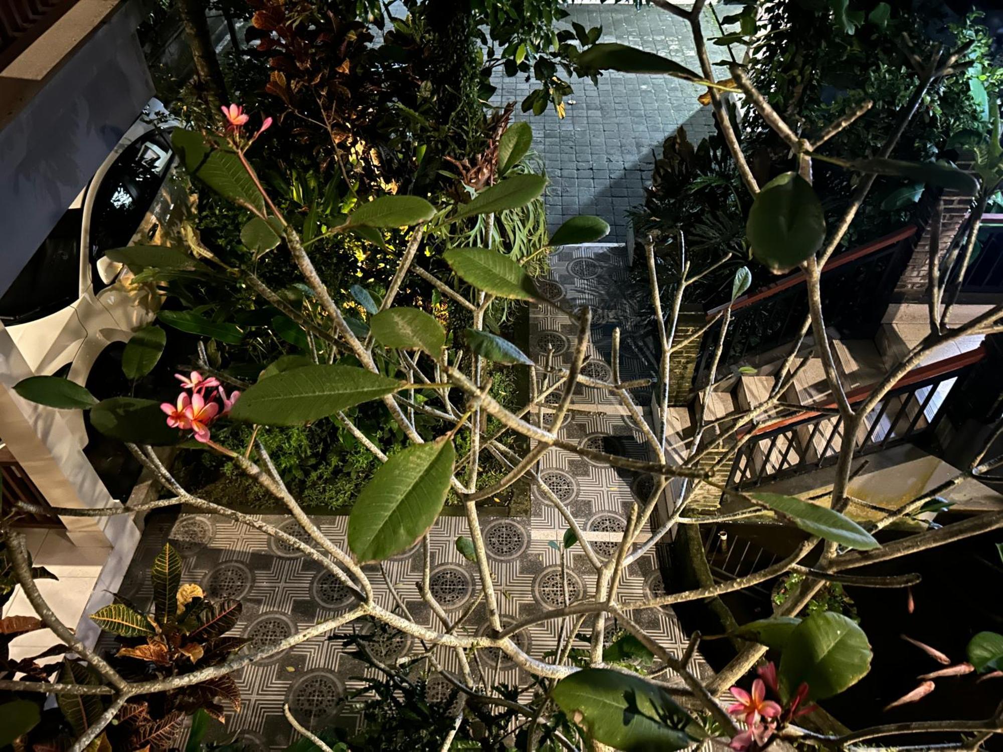 Balimas Guest House Ubud Exteriör bild
